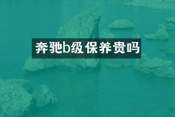 奔驰b级保养贵吗