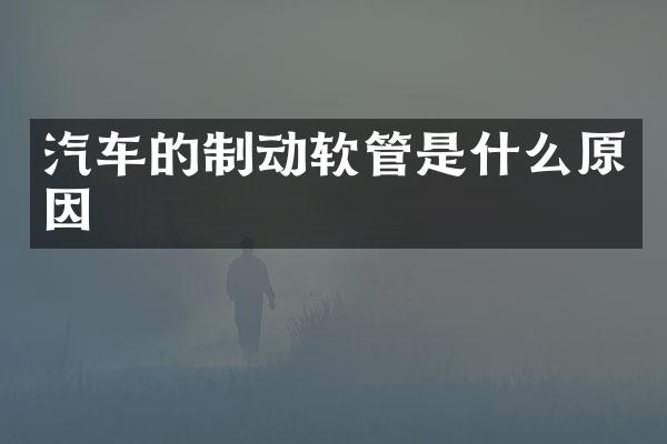 汽车的制动软管是什么原因