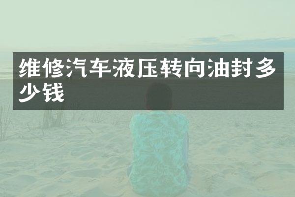 维修汽车液压转向油封多少钱