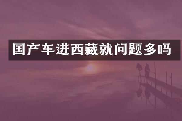 国产车进西藏就问题多吗