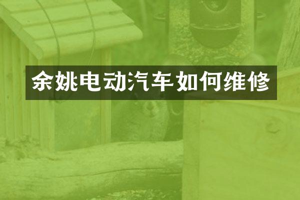 余姚电动汽车如修