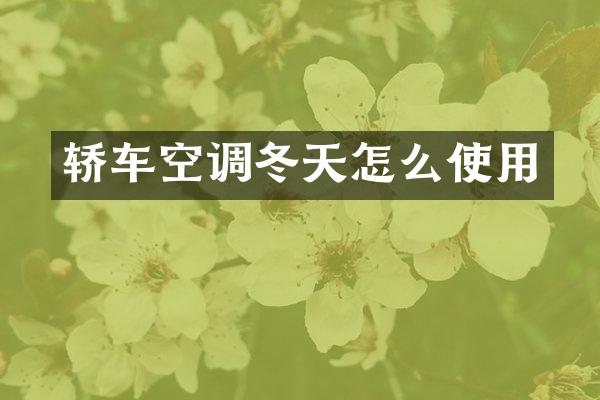 轿车空调冬天怎么使用