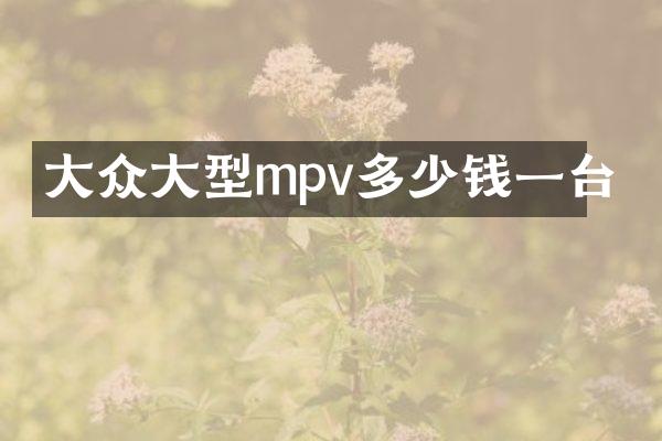 大众大型mpv多少钱一台