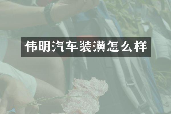 伟明汽车装潢怎么样