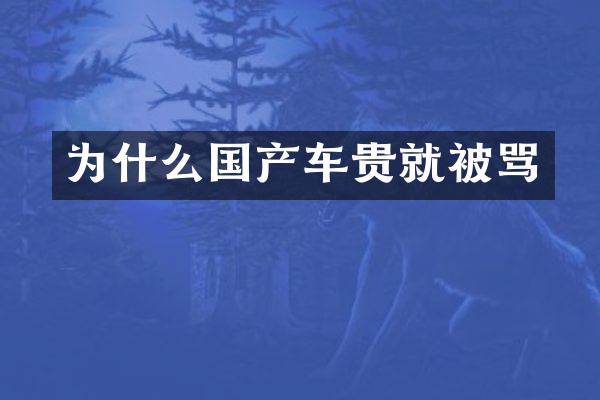 为什么国产车贵就被骂
