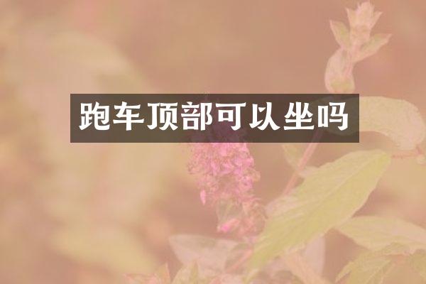 跑车顶部可以坐吗
