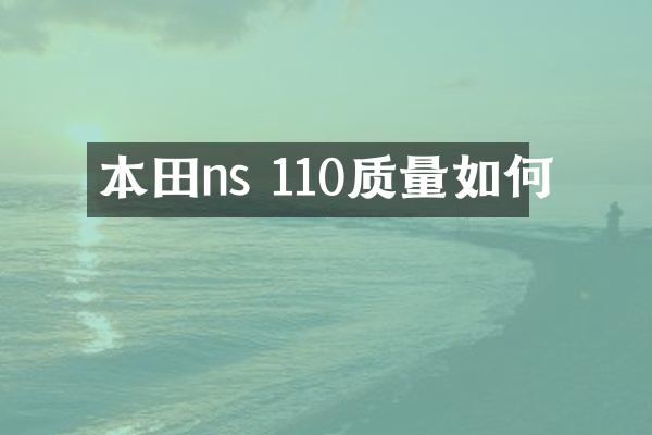 本田ns 110质量如何