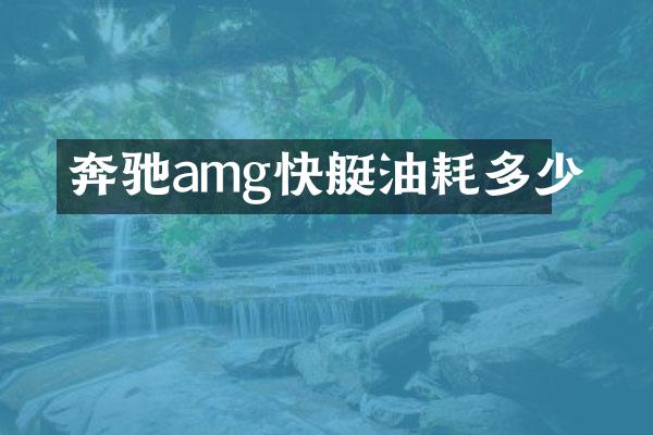 奔驰amg快艇油耗多少