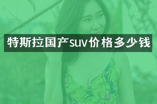 特斯拉国产suv价格多少钱
