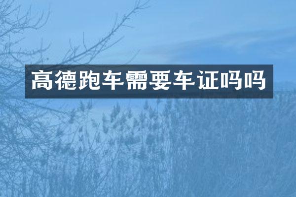 高德跑车需要车证吗吗