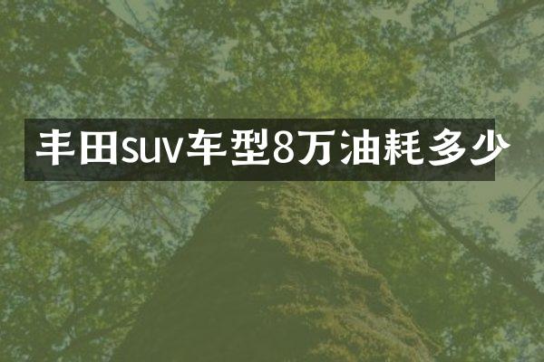 丰田suv车型8万油耗多少