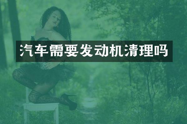 汽车需要发动机清理吗