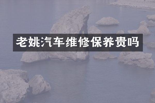 老姚汽车维修保养贵吗