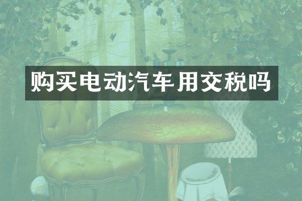 购买电动汽车用交税吗