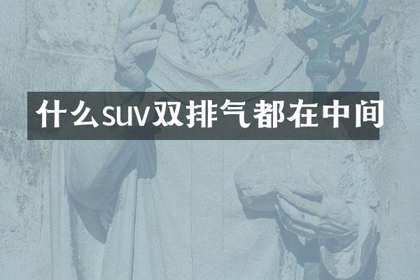 什么suv双排气都在中间
