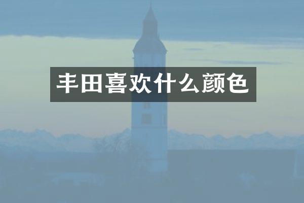 丰田喜欢什么颜色