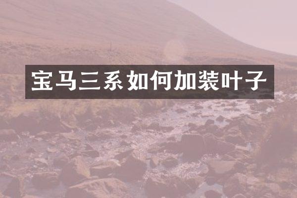 宝马三系如何加装叶子