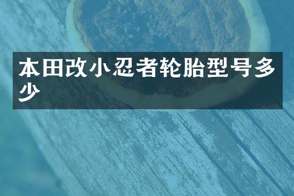 本田改小忍者轮胎型号多少