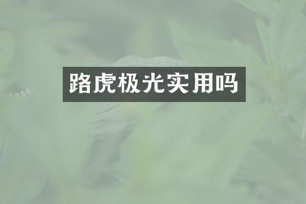 路虎极光实用吗