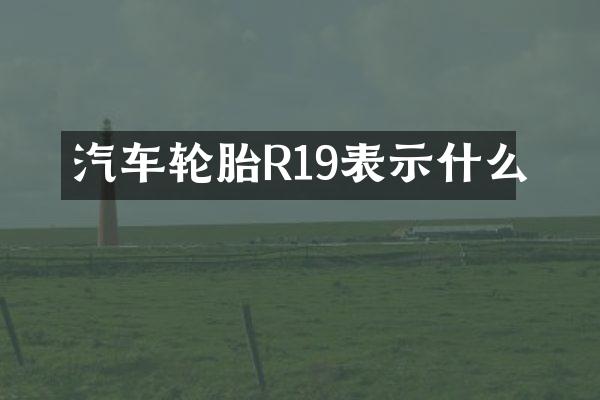 汽车轮胎R19表示什么