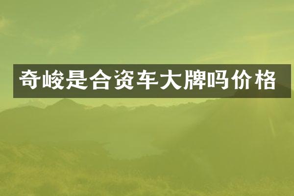 奇峻是合资车大牌吗价格