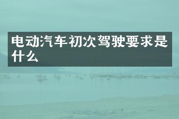 电动汽车初次驾驶要求是什么