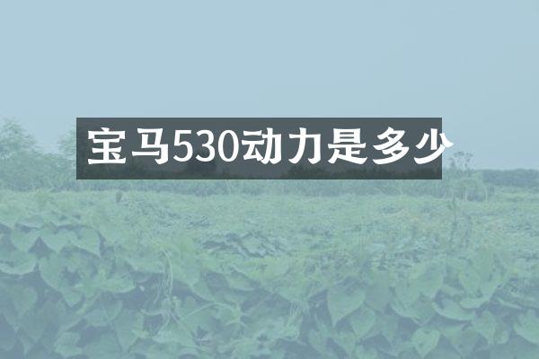 宝马530动力是多少