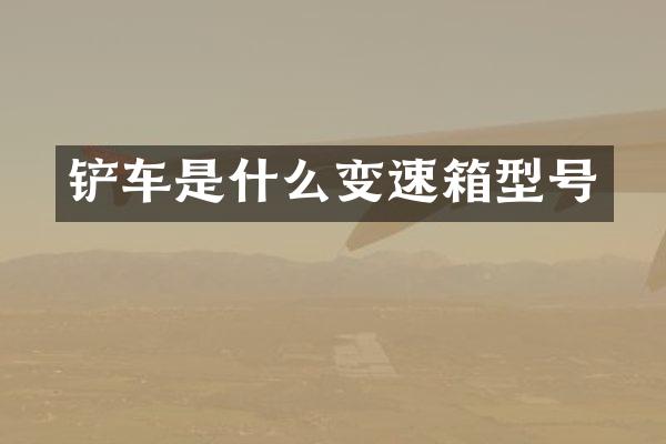 铲车是什么变速箱型号