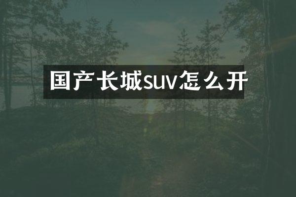 国产长城suv怎么开