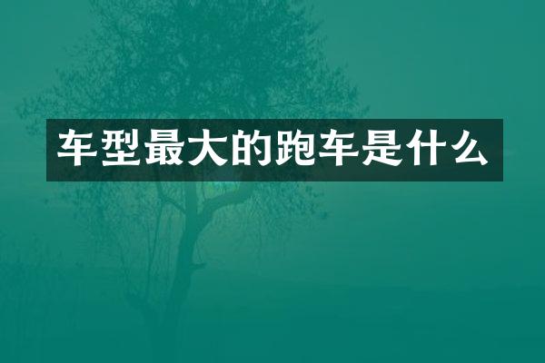 车型最大的跑车是什么