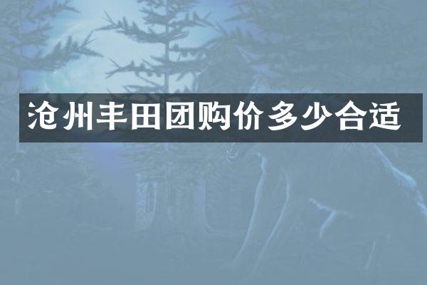 沧州丰田团购价多少合适