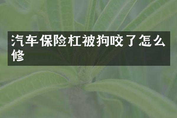 汽车保险杠被狗咬了怎么修