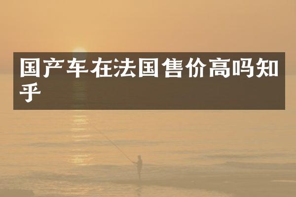 国产车在法国售价高吗知乎