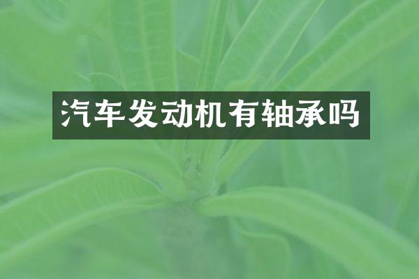 汽车发动机有轴承吗
