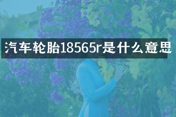 汽车轮胎18565r是什么意思