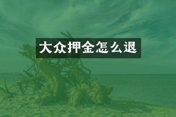大众押金怎么退