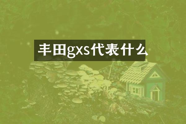 丰田gxs代表什么