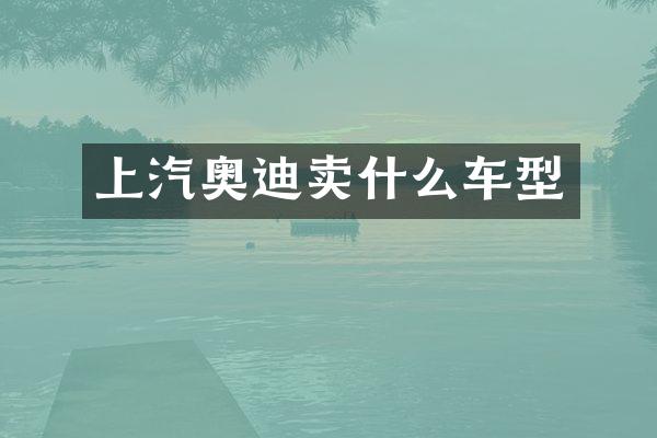 上汽奥迪卖什么车型
