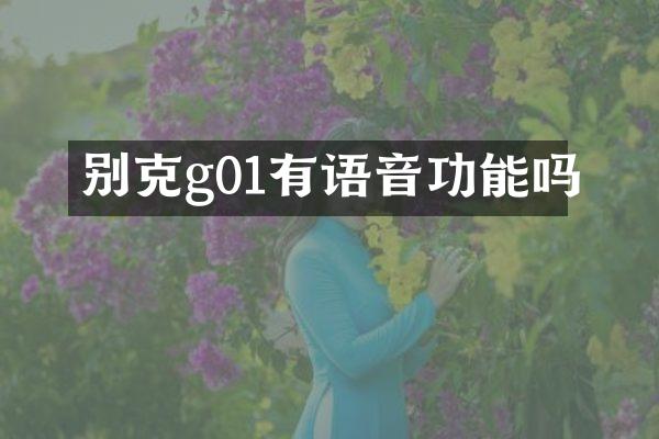 别克g01有语音功能吗