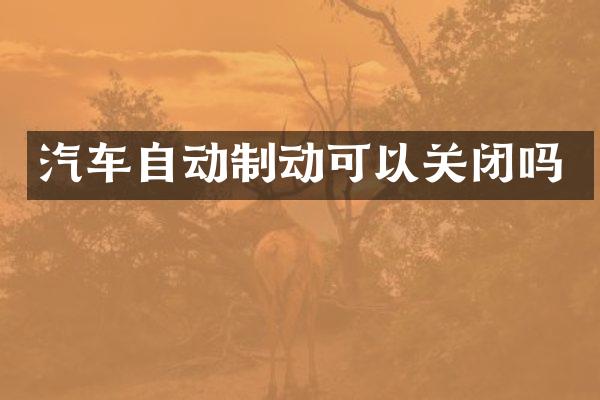 汽车自动制动可以关闭吗
