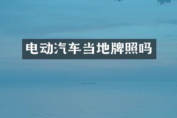 电动汽车当地牌照吗