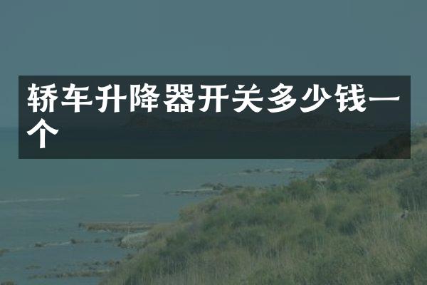 轿车升降器开关多少钱一个