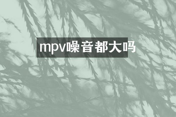 mpv噪音都大吗