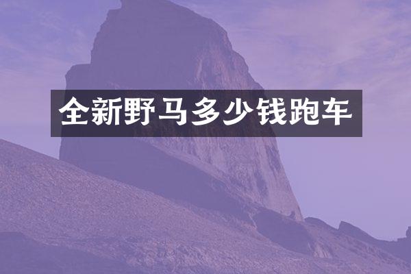全新野马多少钱跑车