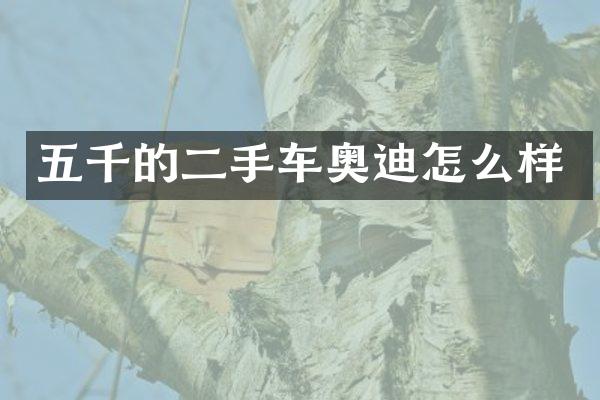 五千的二手车奥迪怎么样