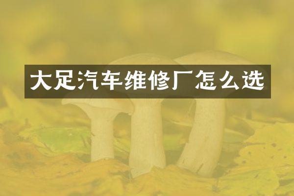 大足汽车维修厂怎么选