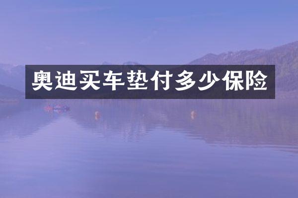 奥迪买车垫付多少保险