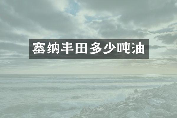 塞纳丰田多少吨油