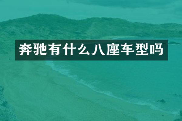 奔驰有什么八座车型吗