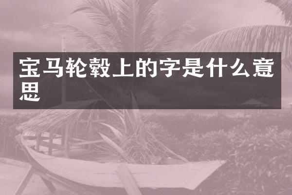 宝马轮毂上的字是什么意思